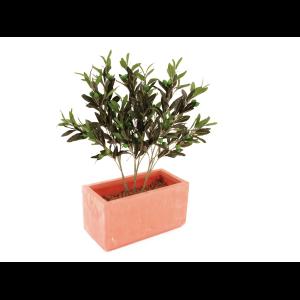 EUROPALMS Olive branch with fruits 68cm 6x