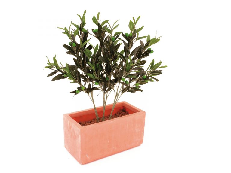 EUROPALMS Olive branch with fruits 68cm 6x