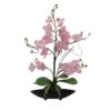 EUROPALMS Orchid Arrangement EVA, purple