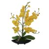 EUROPALMS Orchid Arrangement EVA, yellow