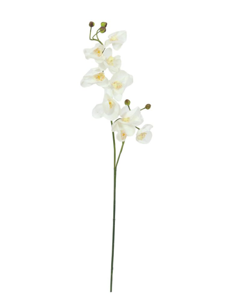 EUROPALMS Orchid spray, cream-white, 100cm