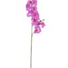 EUROPALMS Orchid spray, purple, 100cm