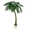 EUROPALMS Palm, 1 trunk, 300cm, green