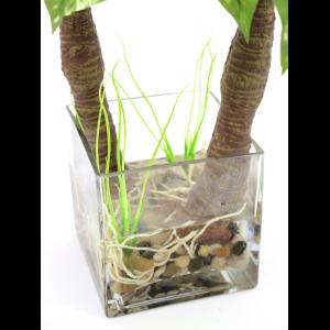 EUROPALMS Pothos in glass, 50cm