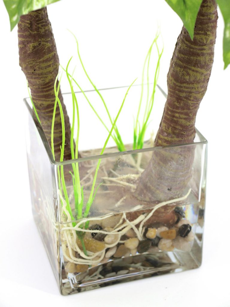 EUROPALMS Pothos in glass, 50cm