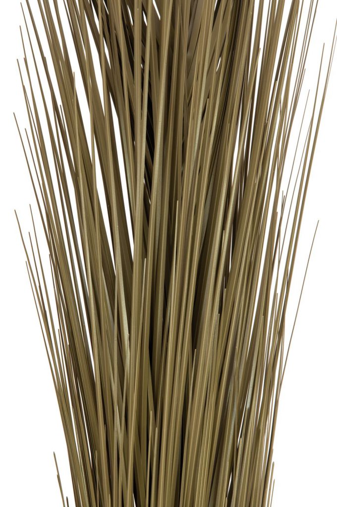 EUROPALMS Reed grass, khaki, 127cm