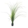 EUROPALMS Reed grass. 145cm