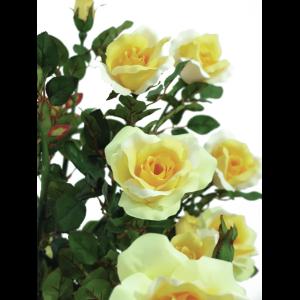 EUROPALMS Rose shrub, light-yellow, 140cm