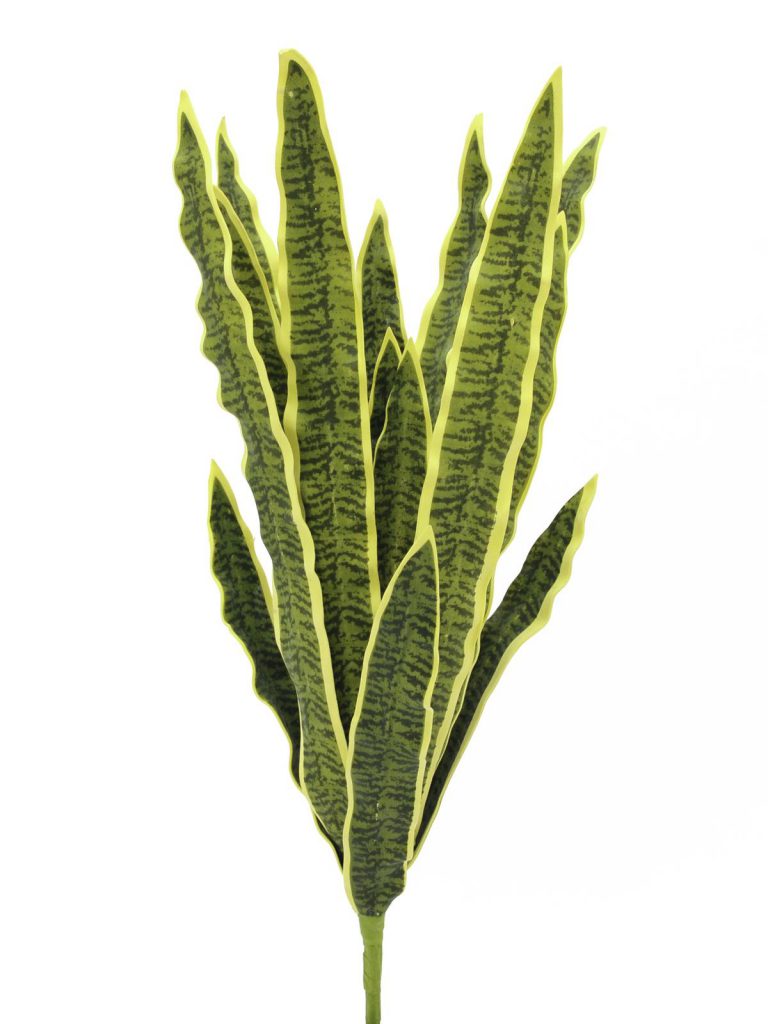 EUROPALMS Sansevieria (EVA), green-yellow, 74cm