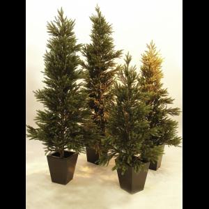 EUROPALMS Spruce PE, 210cm