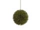 EUROPALMS Succulent Ball (EVA), green, 20cm