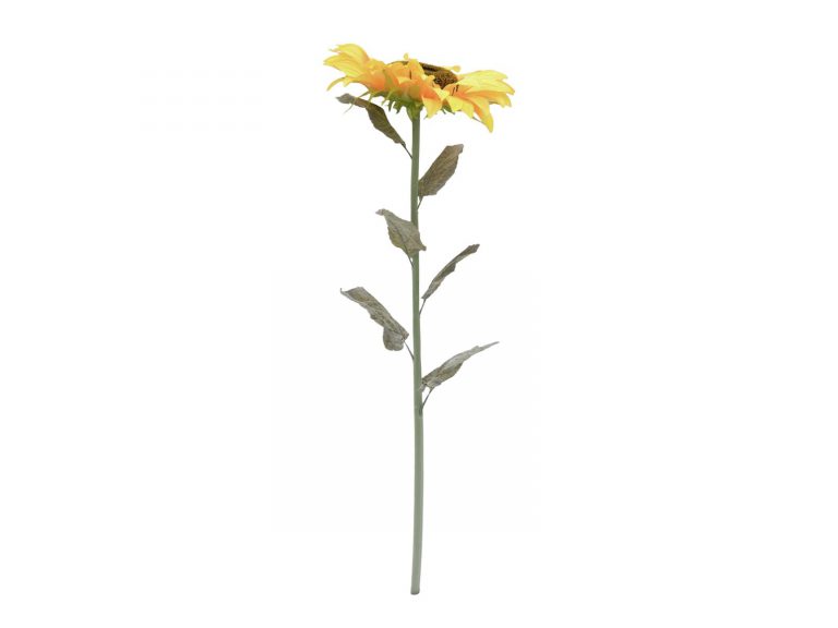 EUROPALMS Sunflower, 130cm