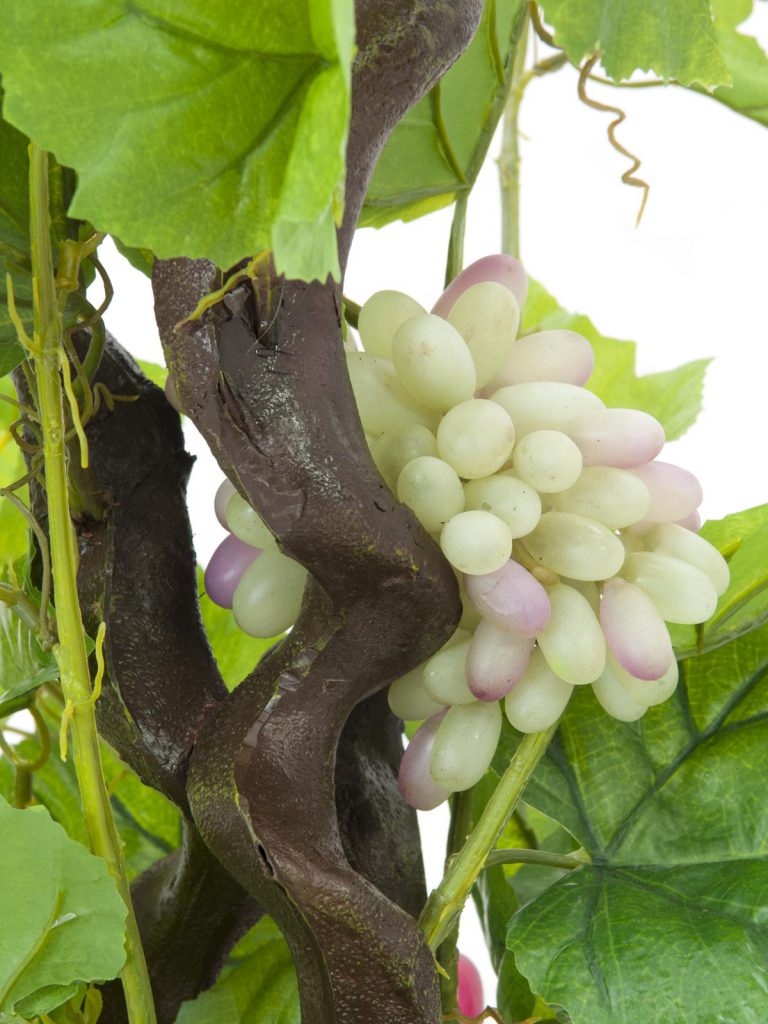 EUROPALMS Vine with grapes, 160cm