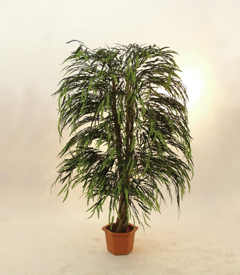 EUROPALMS Willow tree multi leaf, 215cm