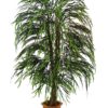 EUROPALMS Willow tree multi leaf, 215cm