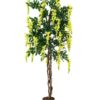 EUROPALMS Wisteria, yellow, 150cm