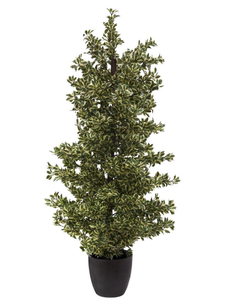 EUROPALMS Wood ficus silver leaf, 120cm