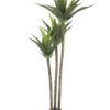 EUROPALMS Yucca, 3 trunks, 125cm