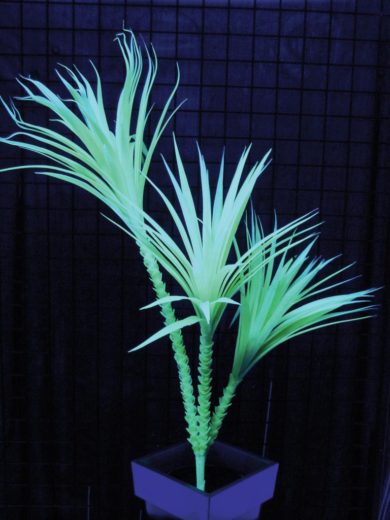 EUROPALMS Yucca palm, uv-green, 90cm