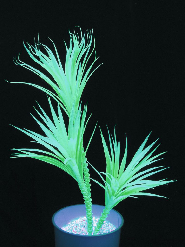 EUROPALMS Yucca palm, uv-green, 90cm