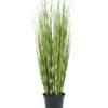 EUROPALMS Zebra grass, 90cm