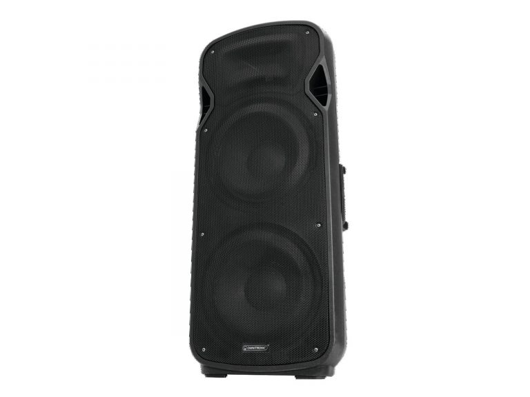 OMNITRONIC VFM-2215 2-Way Speaker