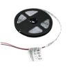 EUROLITE LED Strip 300 5m 3528 6500K 12V