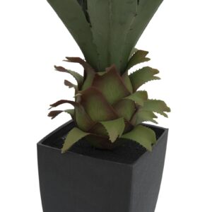 EUROPALMS Agave plant with pot, 75cm