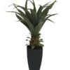 EUROPALMS Agave plant with pot, 75cm