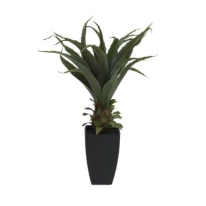 EUROPALMS Agave plant with pot, 75cm