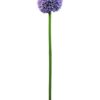 EUROPALMS Allium spray, lavender, 55cm