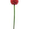 EUROPALMS Allium spray, red, 55cm