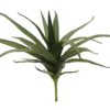 EUROPALMS Aloe (EVA), green, 50cm