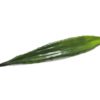 EUROPALMS Aloe leaf (EVA), green, 60cm