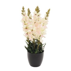 EUROPALMS Antirrhinum, white, 65cm