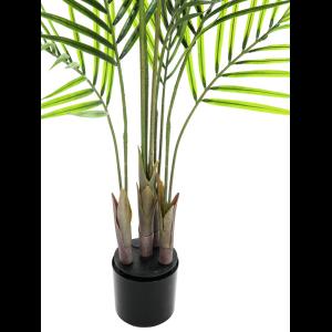 EUROPALMS Areca palm with big leaves, 125cm