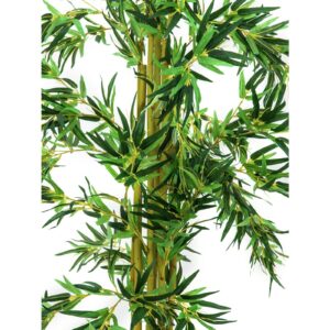 EUROPALMS Bamboo Multi Trunk, 210cm