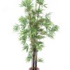 EUROPALMS Bamboo black trunk, 210cm