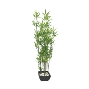 EUROPALMS Bamboo in Bowl, 120cm