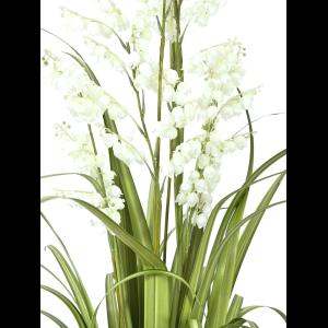 EUROPALMS Bellflower, white, 105cm