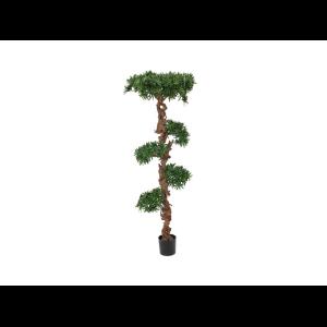 EUROPALMS Bonsai tree, 180cm