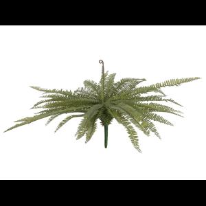 EUROPALMS Boston fern, green, 70cm