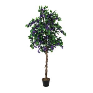 EUROPALMS Bougainvillea, lavender, 150cm