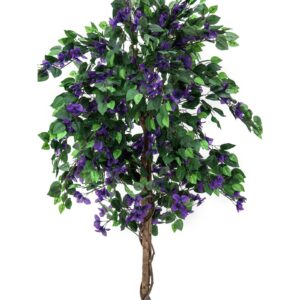 EUROPALMS Bougainvillea, lavender, 180cm