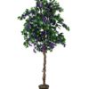 EUROPALMS Bougainvillea, lavender, 180cm