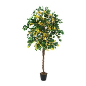 EUROPALMS Bougainvillea, yellow, 150cm