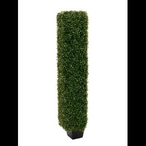 EUROPALMS Boxwood Column, 118cm