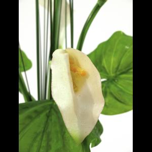 EUROPALMS Calla in glass, 64cm