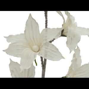 EUROPALMS Clematis Branch (EVA), white