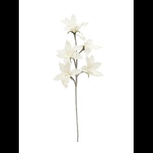 EUROPALMS Clematis Branch (EVA), white